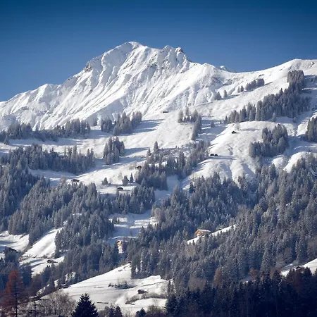 Gruppenhaus Frutigresort 弗鲁蒂根